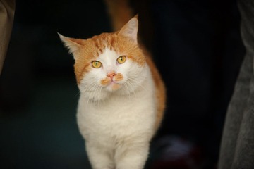 DSC_2512.jpg