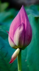15107