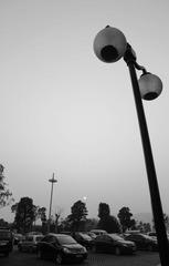 _MG_3716.JPG