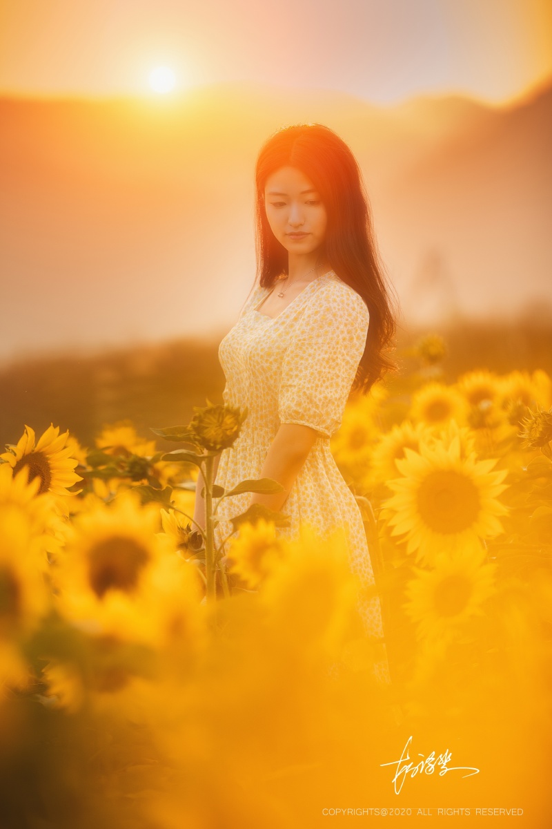 面向阳光就不会有阴影