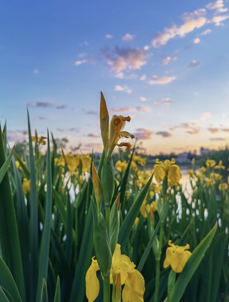 有一种缘放手后成为风景有一颗心坚持中方显真诚你懂了我接近天堂你不
