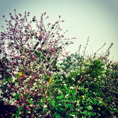photo 4(1)