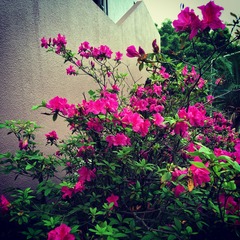 photo 4(3)