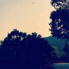photo 5(1)