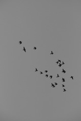 70EDA80E-C08C-4AF0-B09C-FAF73610CD8A/L0/001