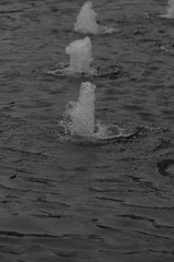 F2C57C54-0467-400D-A9BB-2D8C4A913CCC/L0/001