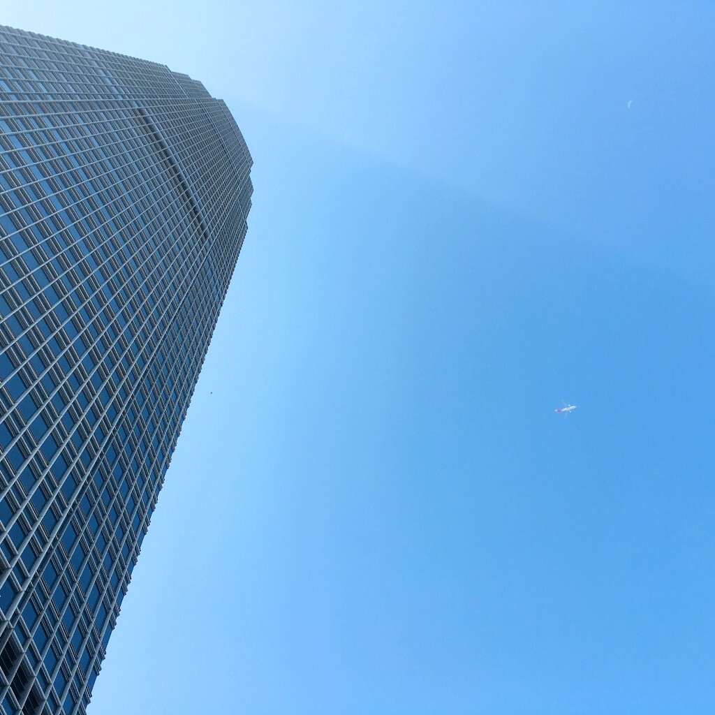 巨大与渺小。