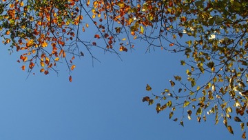 F2F40D18-7412-48FB-9287-5D7EC0099FE0/L0/001