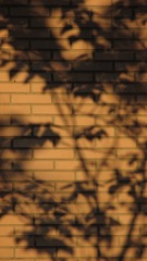 5C146789-D65E-4DF8-894F-206ADAE173F6/L0/001