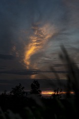 DSC02968_1