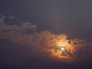 DSCN8403_副本.jpg