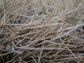 DSCN8373.jpg