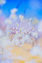 0D29E8B2-B0DA-4B5B-BC17-762866647A59/L0/001