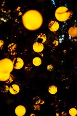71D76E83-714F-43ED-B5D8-690C0D7584B9/L0/001