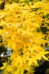 7C1E196F-6837-48AB-B57F-A7C1C8600F65/L0/001
