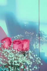 1F5066AF-5CF6-4B20-B5E0-201902A85B4D/L0/001