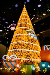 7441BA41-12AB-4E2B-B328-B8F2BBAECB37/L0/001