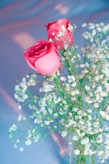 9767CEE1-4197-430F-9593-BD2AE208DF19/L0/001