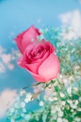 910BF25C-B3BD-4290-AE11-627095BFF32E/L0/001