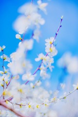 4248A0EB-7734-43D6-A20F-3102D9897B9C/L0/001