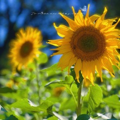 6E4E149E-EB04-4D5B-8316-EB2734A814FA/L0/001