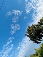 9746B177-80CE-4666-9C82-0E0FC86F76C1/L0/001