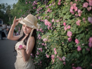 蔷薇花写真16