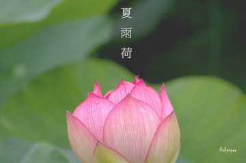 IMGP3609.jpg