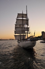 IMGP5745.jpg