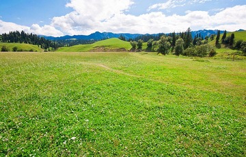 _MG_6012.jpg