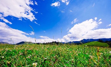 _MG_6015.jpg