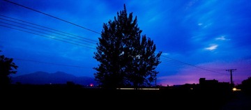 _MG_4798.jpg
