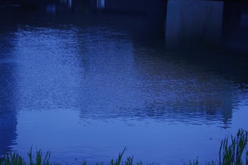09C89A9E-444B-4AA2-9EFF-1288ACB6B273/L0/001