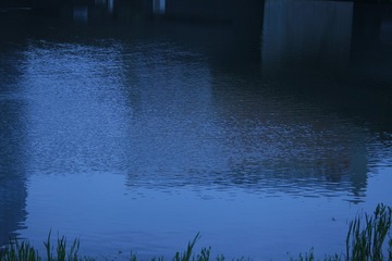 60803829-CE79-4C1D-B9B2-4BCDD1E15934/L0/001