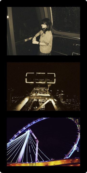Singapore Flyer<br />
城市越亮 内心越慌。