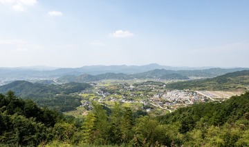 326015