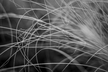 8963D84F-E479-4C7C-B146-78047913CA09/L0/001