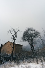 0CF0ABD3-F9B9-40D6-A12F-4FA12EC60E26/L0/001