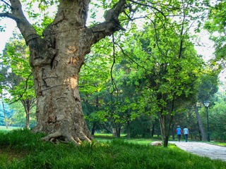 6EF70EF6-21FA-4C36-8FE6-5CD229E1EBAA/L0/001