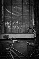 DSC_0026.jpg