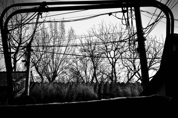 DSC_0016.jpg