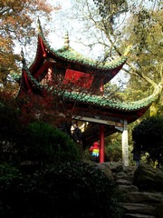 DSCF5578.JPG