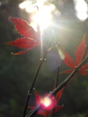 DSCF5581.JPG