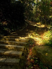 DSCF5591.JPG