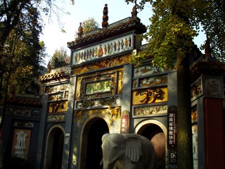 DSCF5594.JPG