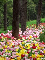DSCF7277.JPG