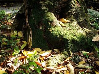 DSCF7668.JPG