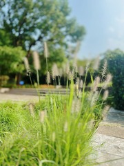 15FB0F38-DD2F-4FBA-A910-51E50E54F786/L0/001