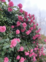 B02DA888-3EDA-450E-B2AD-3684F71ED343/L0/001