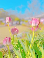 0B78787D-657E-4225-89F0-3BD177BB3F4F/L0/001